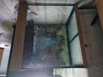 Juwel aquarium 60x60x40 met kast, Ophalen, Zo goed als nieuw, Hok
