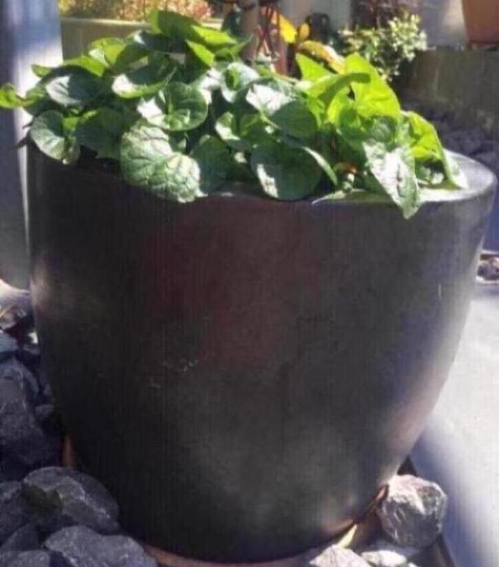 Grote oude terracotta bloempotten geglazuurd grijs antraciet, Tuin en Terras, Bloempotten, Zo goed als nieuw, Terracotta, Binnen