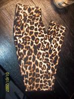 Leuke panterbroek maat xs/s Nieuw!, Verzenden, Nieuw, Maat 34 (XS) of kleiner, Lang