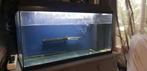 Net aquarium. Juwel monolux 80, Ophalen, Zo goed als nieuw
