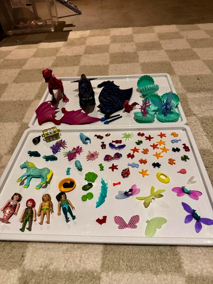 Playmobil Fee, Draken & Zeedieren Fantasie Set, Kinderen en Baby's, Speelgoed | Overig, Gebruikt, Jongen of Meisje, Ophalen