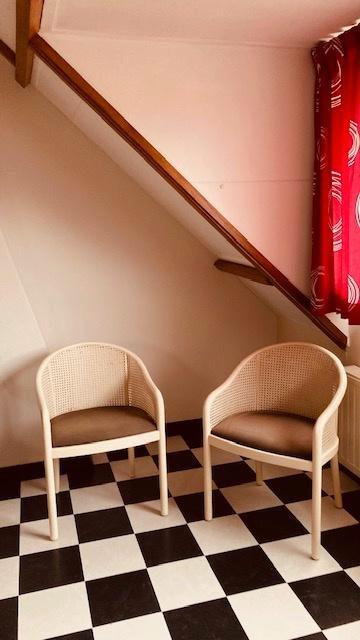 Thonet eetkamerstoelen -2 stuks, Huis en Inrichting, Stoelen, Gebruikt, Twee, Hout, Riet of Rotan, Stof, Wit, Ophalen