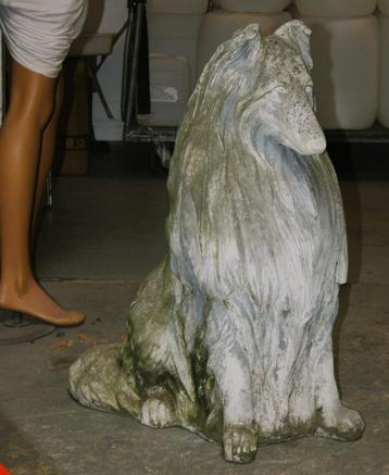Schotse Collie grote betonnen tuinbeeld vanaf €48  beschikbaar voor biedingen