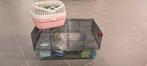 Hamsterkooi met vervoer box, Ophalen, Zo goed als nieuw, Transportkoffer of -box