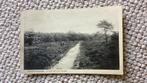 Ansichtkaart Beetsterzwaag Op die stille heide 915, Ophalen of Verzenden, Voor 1920, Ongelopen, Friesland