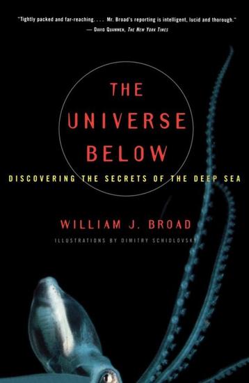 Willem j Broad - The universe below beschikbaar voor biedingen