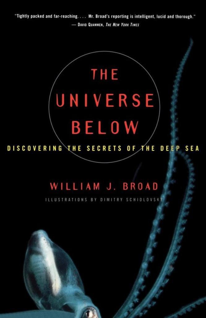 Willem j Broad - The universe below, Boeken, Taal | Engels, Zo goed als nieuw, Ophalen of Verzenden