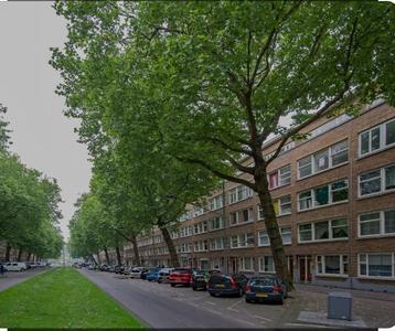 Dordtselaan 87-89 in Rotterdam, bouwkundig keuringsrapport beschikbaar voor biedingen