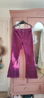 Paarse Lee flared, Kleding | Dames, Overige kleuren, Ophalen of Verzenden, Zo goed als nieuw, W30 - W32 (confectie 38/40)