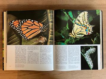 LAROUSSE : Tout les animaux du monde 8 Volumes !! beschikbaar voor biedingen