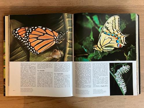 LAROUSSE : Tout les animaux du monde 8 Volumes !!, Boeken, Encyclopedieën, Zo goed als nieuw, Complete serie, Dieren, Ophalen of Verzenden
