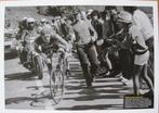 groot formaat foto Tour de France - Peter Winnen - 1981, Ophalen of Verzenden, Nieuw, Overige sporten, Overige typen