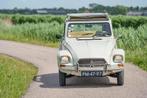Citroen DYANE 6, 31 pk, Overige modellen, Overige carrosserieën, 4 stoelen