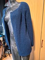 Mooie Massimo Dutti vest - Maat L, Massimo Dutti, Ophalen of Verzenden, Zo goed als nieuw, Maat 42/44 (L)