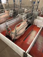 Kraamhokken 160x [671], Dieren en Toebehoren, Ophalen of Verzenden, Boekhorst Trading, Info@boekhorsttrading.com, Singel 16, Horssen