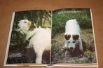 Jack Russell Terriers, Ophalen of Verzenden, Gelezen, Honden