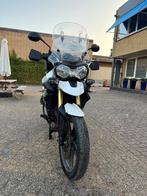 Nette Triumph Tiger 800 ABS, USB,handvatverwarming, Motoren, Motoren | Triumph, 3 cilinders, Particulier, Meer dan 35 kW, Handvatverwarming