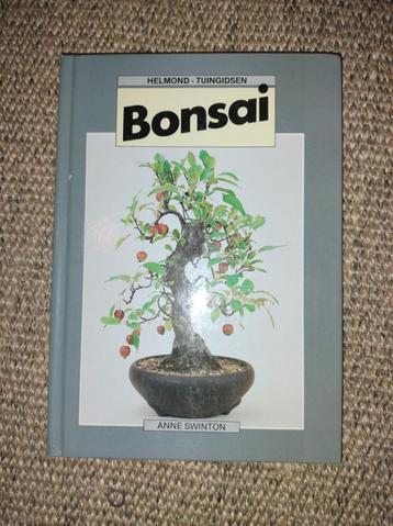 Bonsai gids beschikbaar voor biedingen