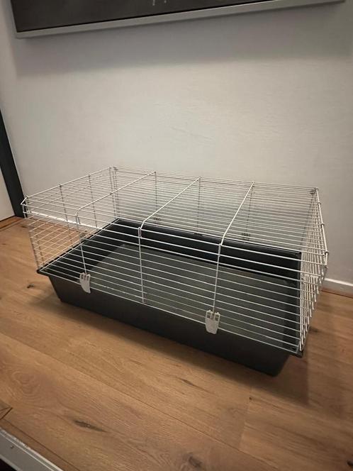 Grote kooi voor konijn of cavia, Dieren en Toebehoren, Knaagdieren en Konijnen | Hokken en Kooien, Kooi, Minder dan 60 cm, 75 tot 110 cm
