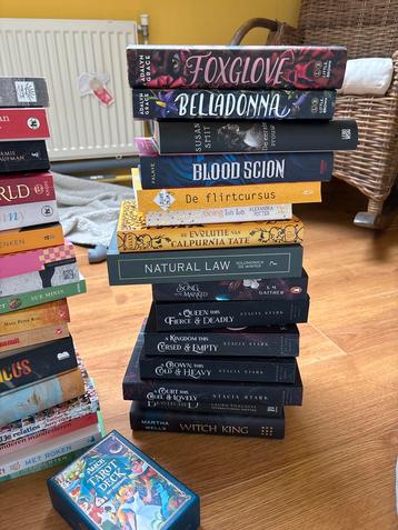 Boekenpakket: Diverse genres, Nederlands & Engels beschikbaar voor biedingen