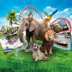 8 kaarten/tickets uitstapje naar keuze!, Tickets en Kaartjes, Drie personen of meer, Ticket of Toegangskaart