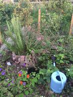 Gratis klinkers, Tuin en Terras, Ophalen