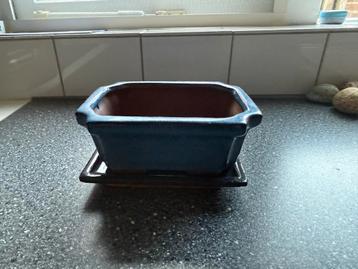 Blauwe Bonsai Pot met Schaal beschikbaar voor biedingen