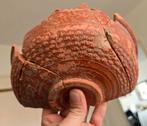 Bodemvondst romeinse terra sigillata aardewerk schaal, Antiek en Kunst, Antiek | Keramiek en Aardewerk, Ophalen of Verzenden