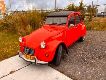 Gerestaureerde Citroën 2CV 0.6 Spec S6 1986 Rood beschikbaar voor biedingen