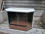 Terrarium, Dieren en Toebehoren, Reptielen en Amfibieën | Toebehoren, Ophalen, Gebruikt