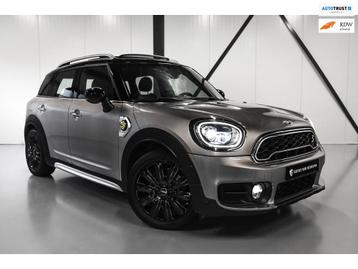 Mini Mini Countryman Cooper S E ALL4 Chili | PANO | LEER | beschikbaar voor biedingen