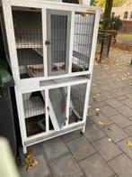 Konijnen flat, Dieren en Toebehoren, Knaagdieren en Konijnen | Hokken en Kooien, Ophalen, Cavia, 90 cm of meer, Hok