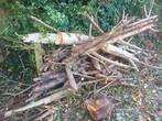 Hout gratis ophalen, Minder dan 3 m³, Ophalen of Verzenden, Overige houtsoorten, Blokken