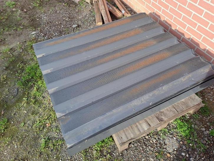 geperforeerde damwand, Dieren en Toebehoren, Schapen, Geiten en Varkens, Varken, Meerdere dieren, 6 jaar of ouder