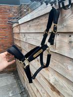 Nieuwe KENTUCKY VELVET HALSTER / COB, Dieren en Toebehoren, Ophalen, Nieuw, Overige soorten