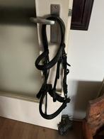 Pagony stang en trens hoofdstel maat Cob, Dieren en Toebehoren, Paarden en Pony's | Hoofdstellen en Tuigage, Ophalen of Verzenden