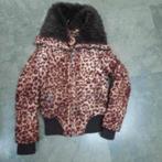 146 jas coolcat, Kinderen en Baby's, Kinderkleding | Maat 146, Verzenden, Zo goed als nieuw, Meisje, Jas