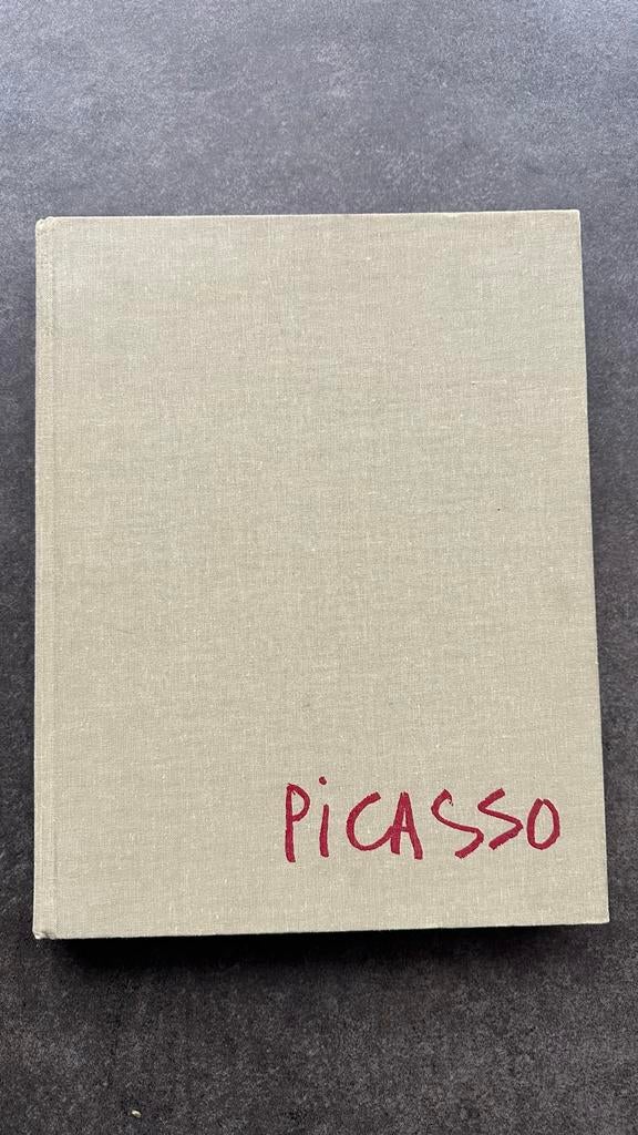 Tekeningen van Picasso - Georges Boudaille, Ophalen of Verzenden, Gelezen, Fotografen