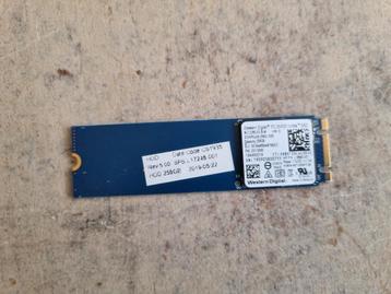 Te koop ssd Western Digital 256GB  NVMe  beschikbaar voor biedingen