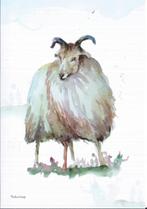 3 Dierenansichtkaarten kaarten Drente Ongelopen, Verzenden, 1940 tot 1960, Ongelopen
