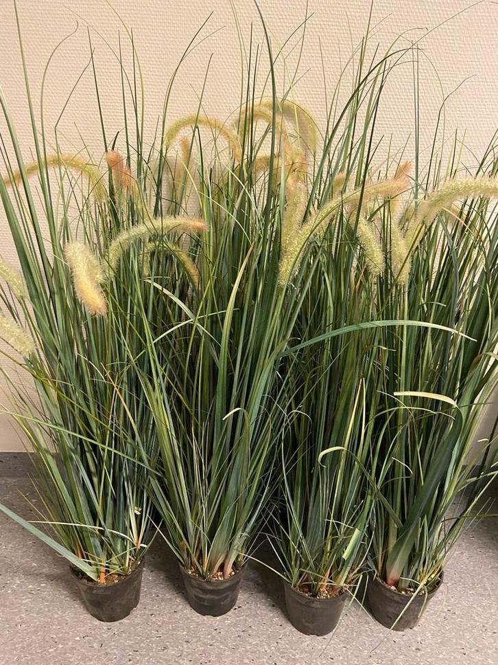 8 Kunstgras Potten - 50-70cm Hoog, Huis en Inrichting, Woonaccessoires | Kunstplanten en Kunstbloemen, Gebruikt, Binnen, Buiten