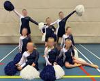 Team dans jurkjes, Ophalen of Verzenden, Kleding