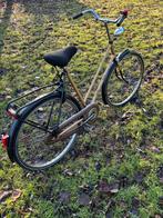 Gazelle sport primeur, 55 tot 59 cm, Ophalen of Verzenden