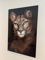 Glasschilderij puma tijger leeuw, Huis en Inrichting, Woonaccessoires | Schilderijen, Tekeningen en Foto's, Ophalen, Zo goed als nieuw