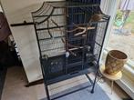 Keddoc Vogelkooi Florida 82x54x155cm, Ophalen, Zo goed als nieuw, Metaal, Vogelkooi