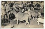Nederlandsche soldaten op de Boerderij - uitgave Rotterdam, Verzenden, Landmacht, Nederland, Foto of Poster
