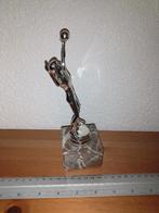 Volleybal trofee, Sport en Fitness, Volleybal, Ophalen of Verzenden, Gebruikt, Overige typen