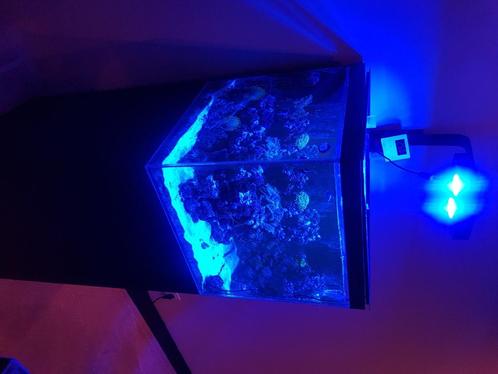 Zoutwater aquarium compleet!!!!, Dieren en Toebehoren, Vissen | Aquaria en Toebehoren, Gebruikt, Gevuld zeewateraquarium, Ophalen