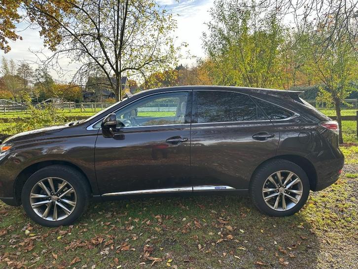Lexus RX(-H) 450H 3.5 V6 Hybrid CVT 2013 Bruin, Auto's, Lexus, Particulier, RX(-H), 4x4, ABS, Achteruitrijcamera, Adaptieve lichten
