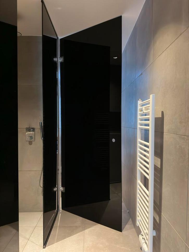 Glazen deur rook/zwart/antraciet, Huis en Inrichting, Badkamer | Badkamermeubels, Zo goed als nieuw, Overige typen, 200 cm of meer